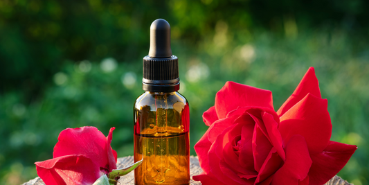 Three Divine Roses: Rose Oil in the Magic of Aphrodite, Isis, and Hekate