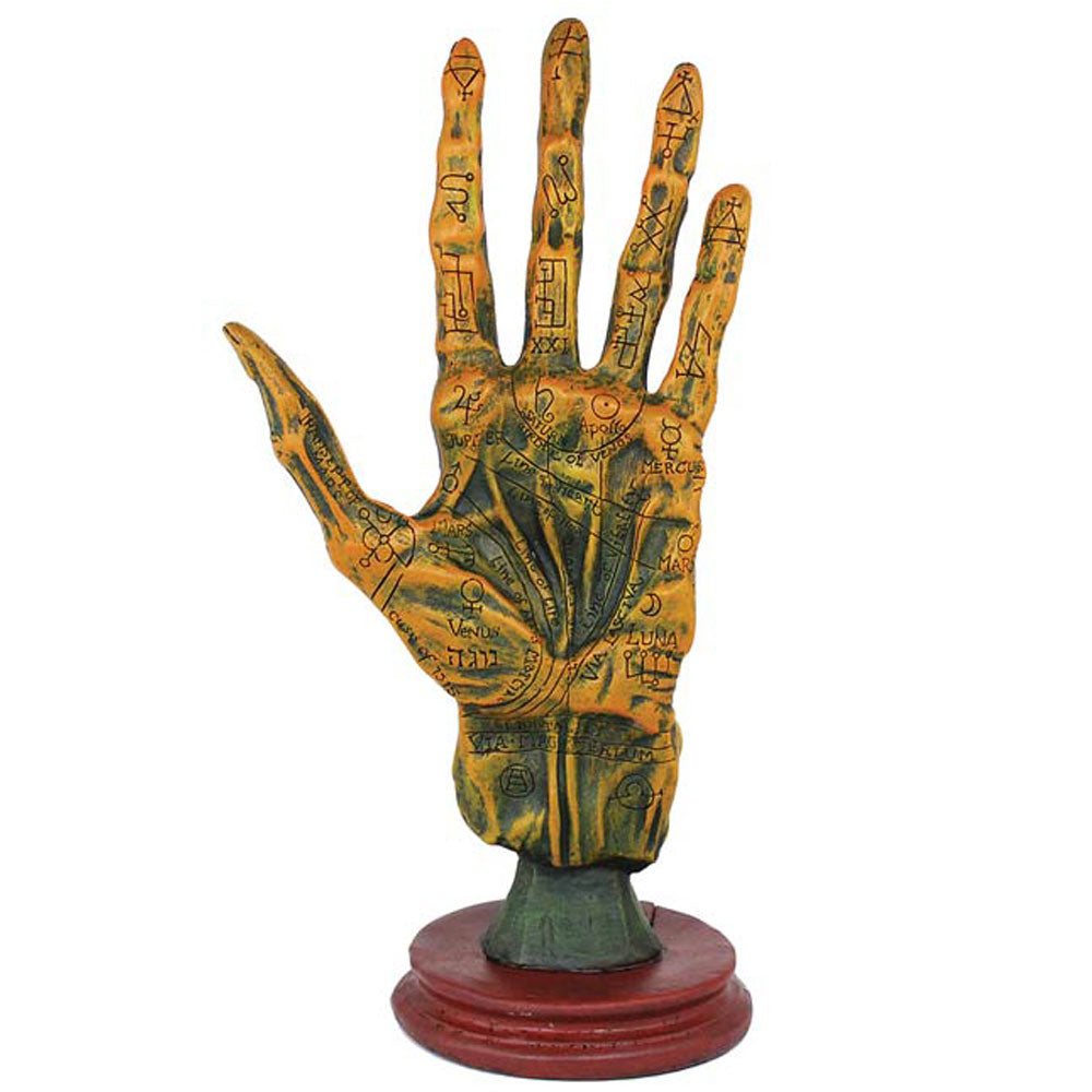 Alchemy Palmistry Hand