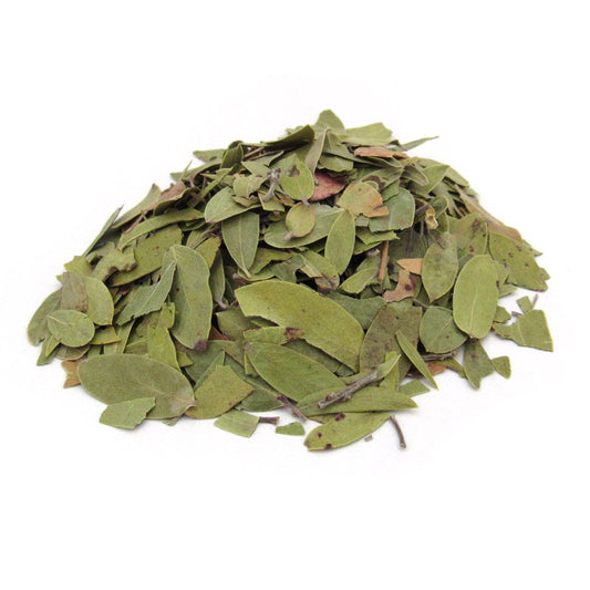 Bearberry Leaf (1 oz)