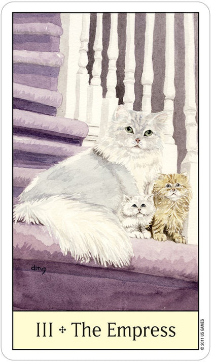 Cat's Eye Tarot Deck