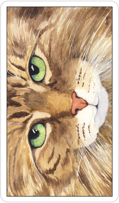 Cat's Eye Tarot Deck