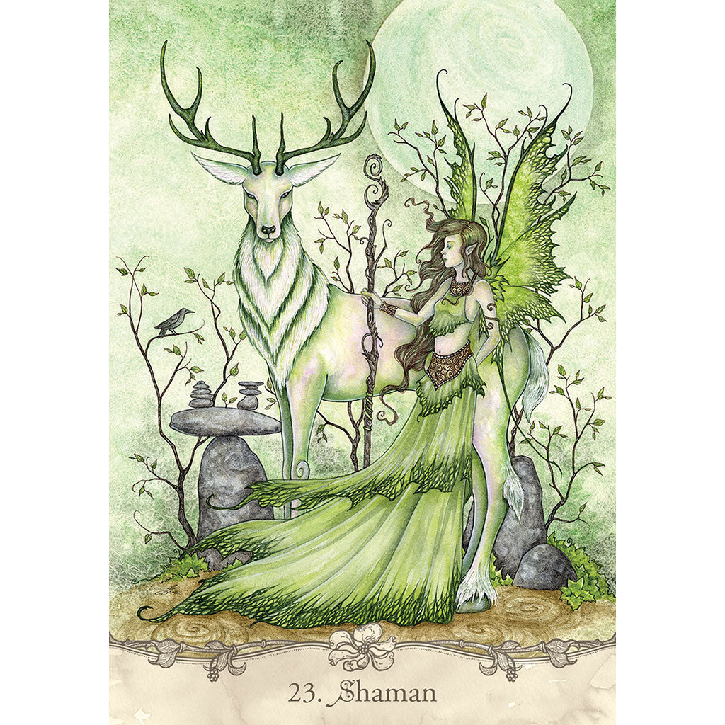 Fairy Wisdom Oracle (Deck and Book Set)