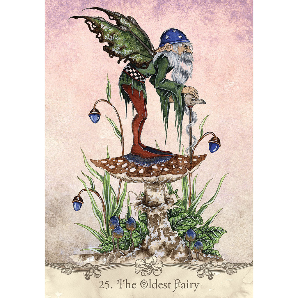 Fairy Wisdom Oracle (Deck and Book Set)