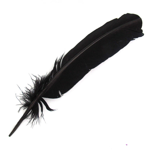 Set of 10 Black Feathers