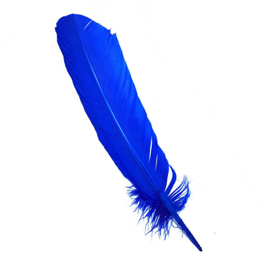 Set of 10 Blue Feathers