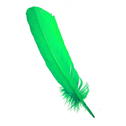 Set of 10 Green Feathers