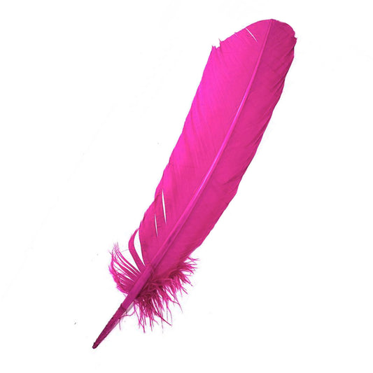 Set of 10 Pink Feathers