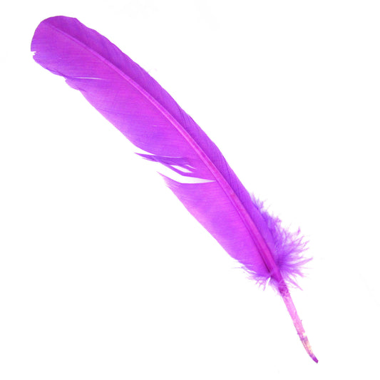 Set of 10 Purple Feathers