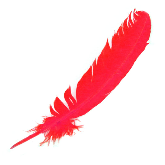 Set of 10 Red Feathers