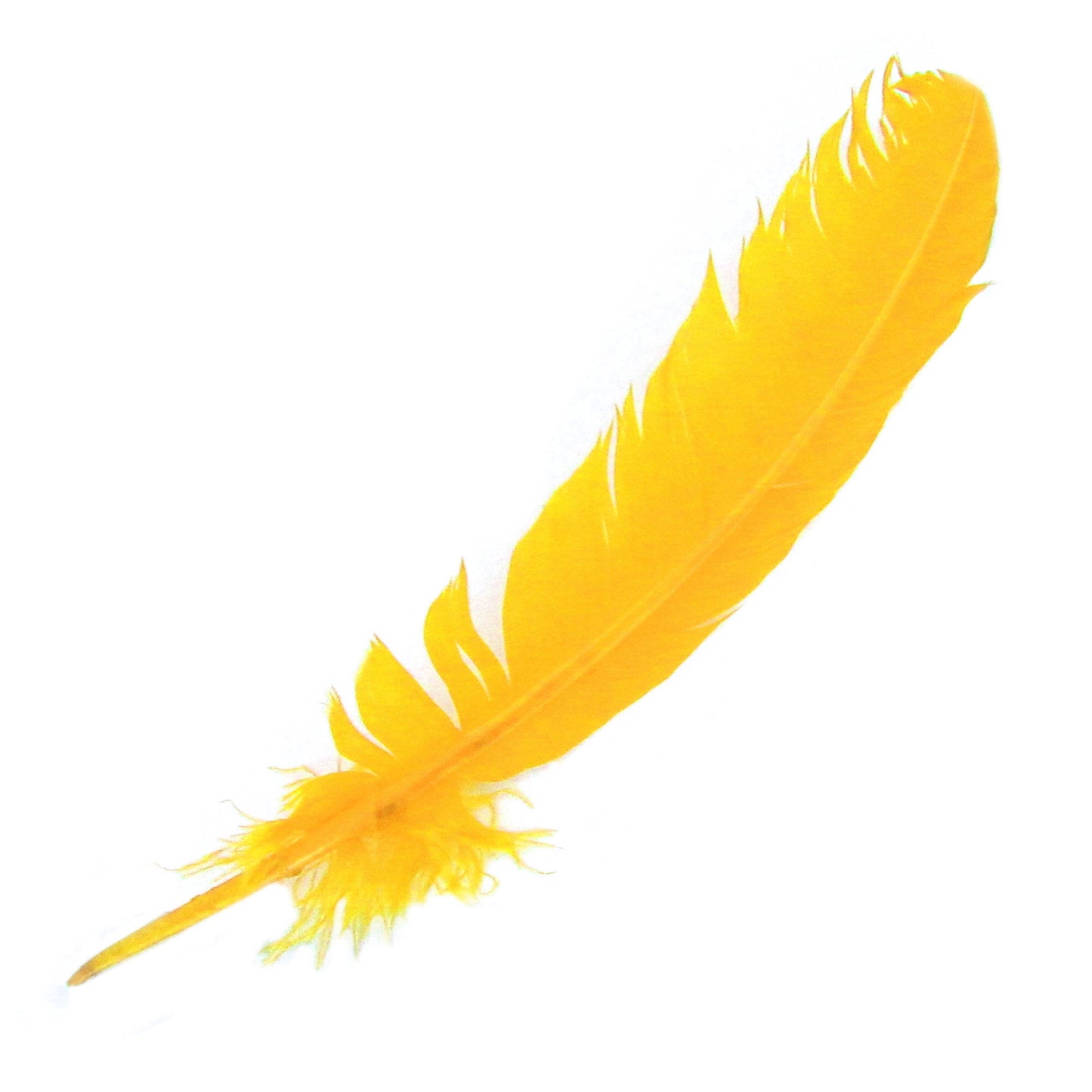 Set of 10 Yellow Feathers