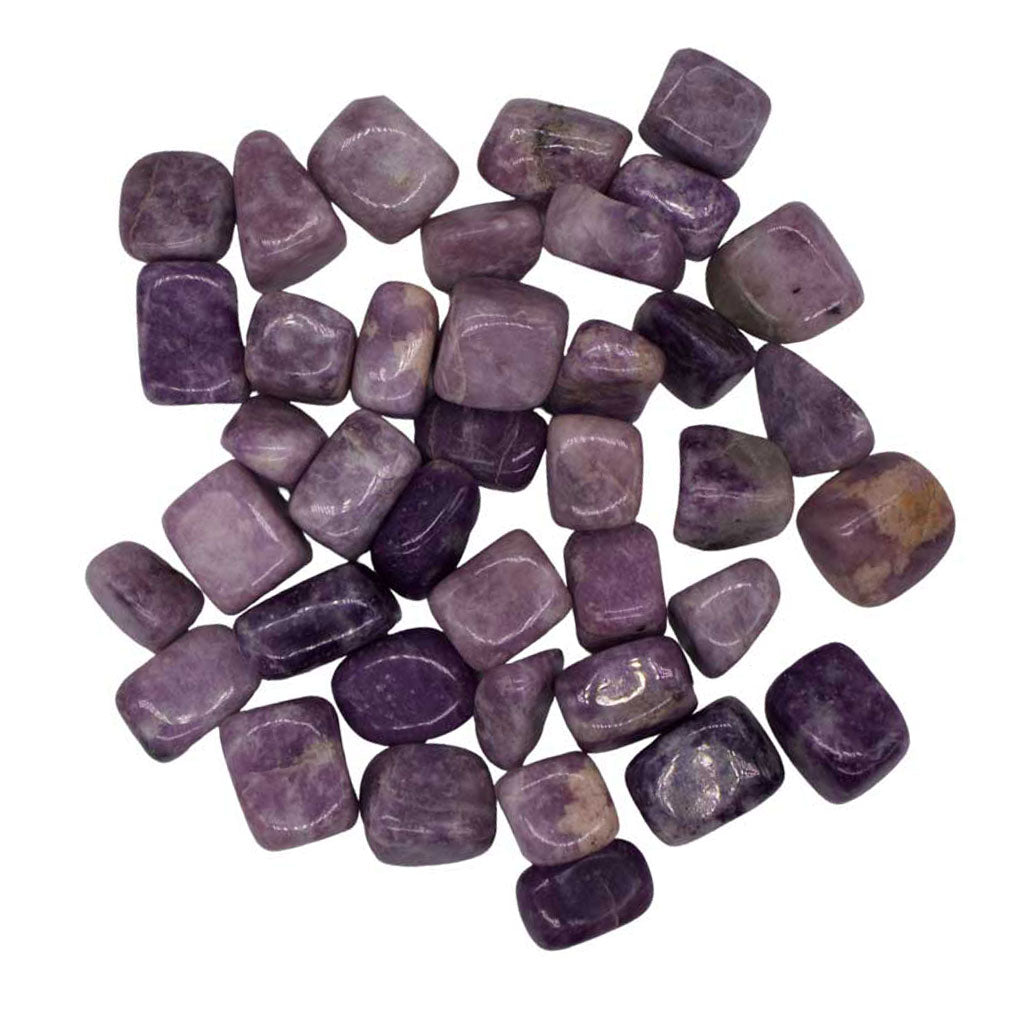 Lepidolite Tumbled Stones (1 lb)