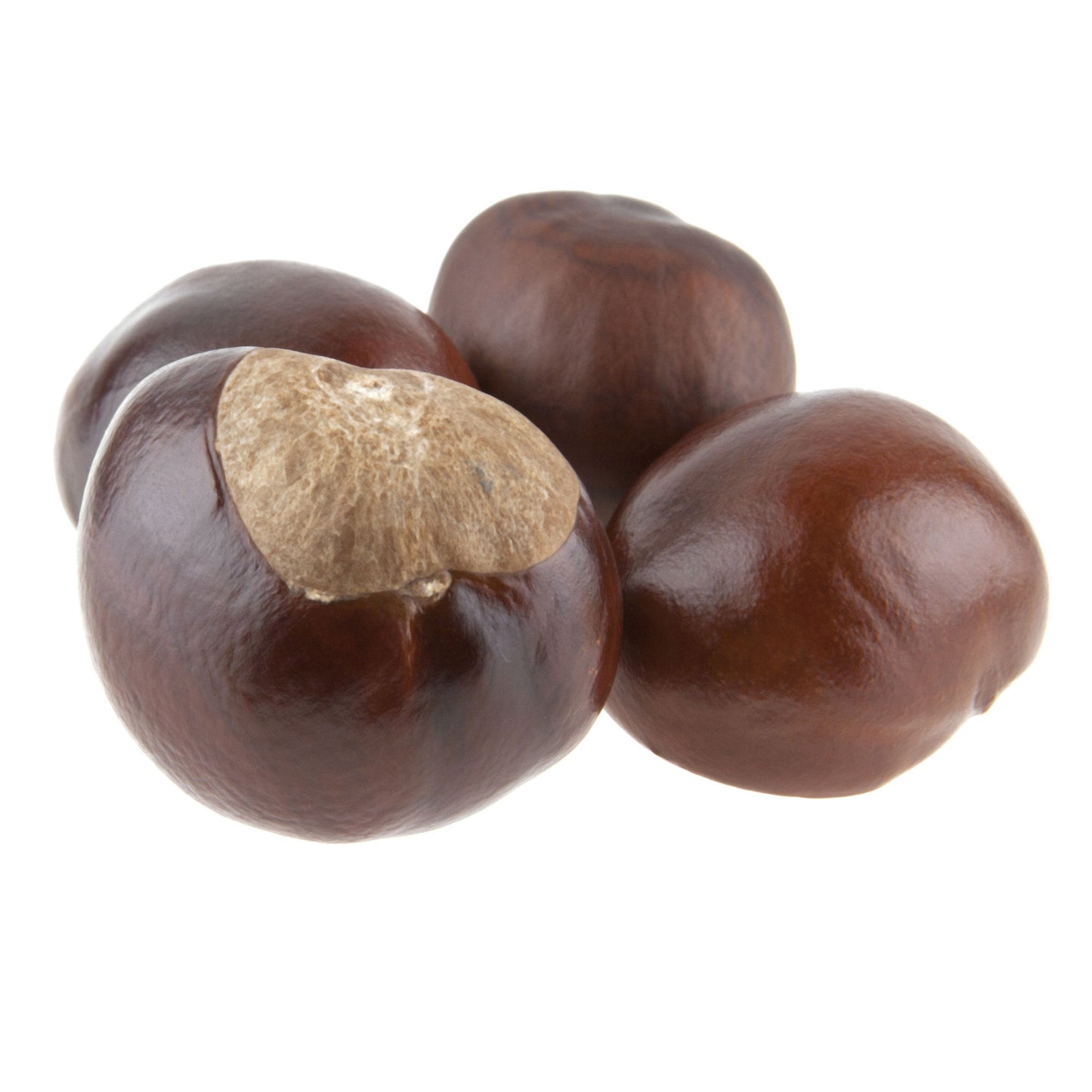 Buckeyes (1 oz)