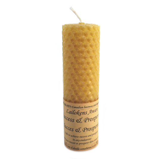 Success and Prosperity Ritual Candle by Lailokens Awen