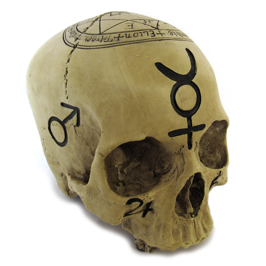 Alchemical Mystic Skull