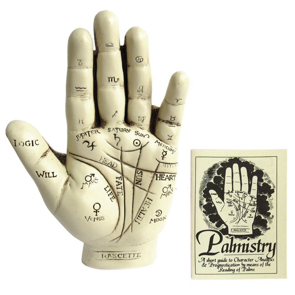 Palmistry Hand (with Mini Palmistry Guide)