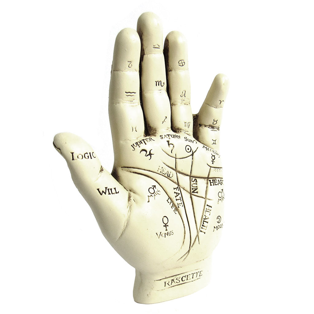 Palmistry Hand (with Mini Palmistry Guide)