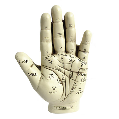 Palmistry Hand (with Mini Palmistry Guide)