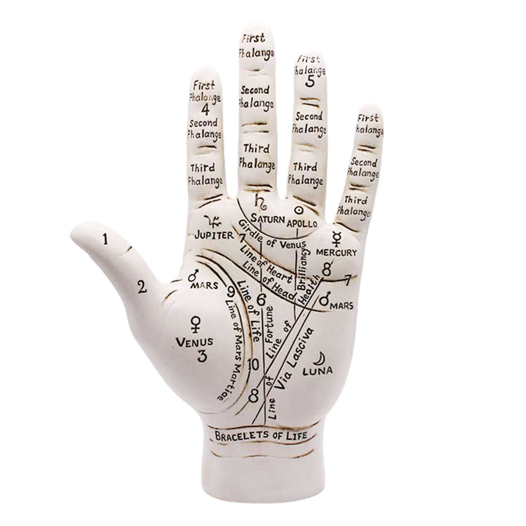 Large Palmistry Hand