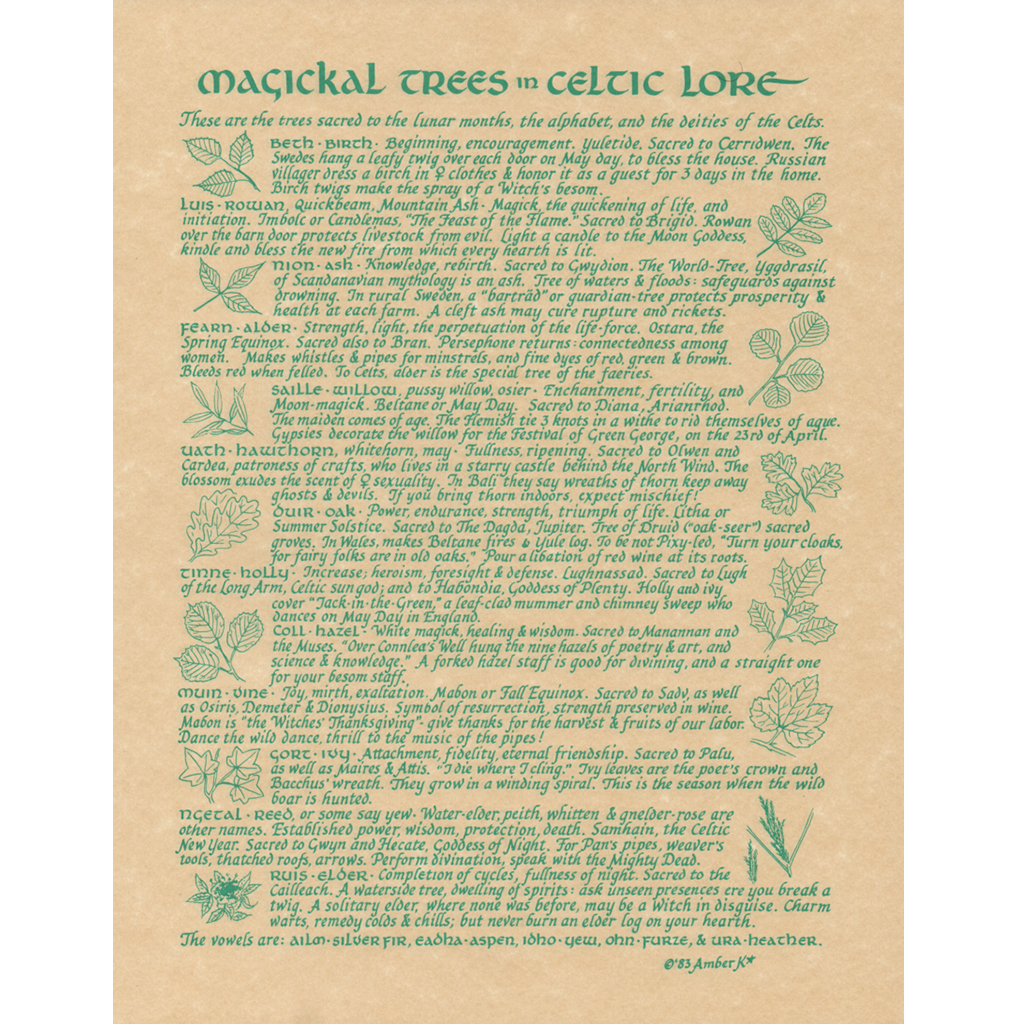 Celtic Trees Poster