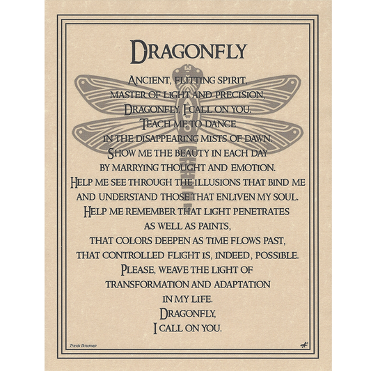 Dragonfly Poster