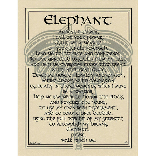 Elephant Prayer Poster