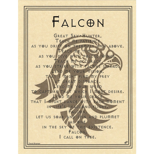 Falcon Prayer Poster