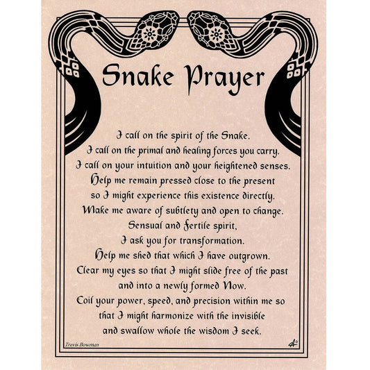 Snake Prayer Poster