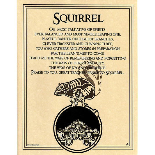 Squirrel Prayer Poster