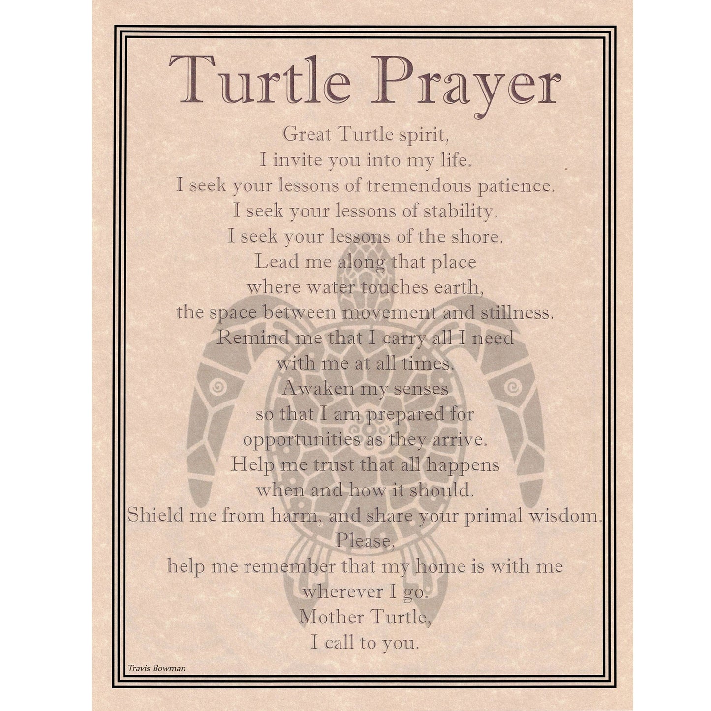 Turtle Prayer Poster