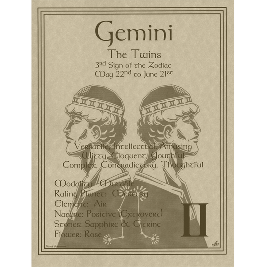 Gemini Zodiac Poster