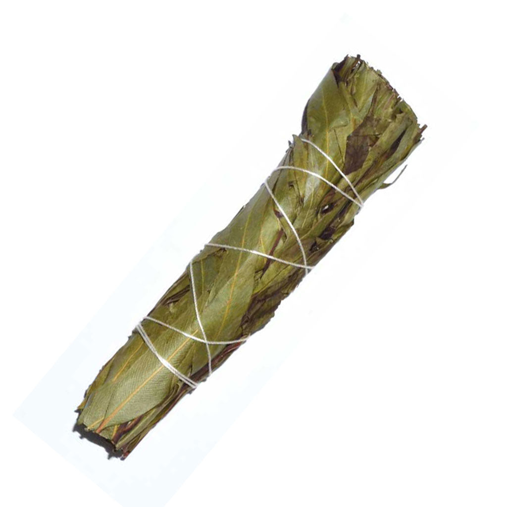 Eucalyptus Smudge Stick (4 Inches)