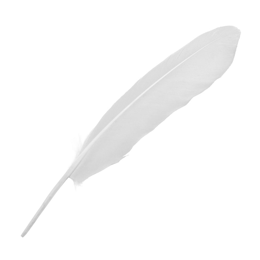 Set of 10 White Feathers